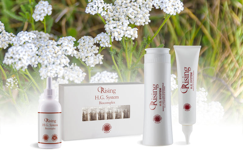 Croissance des cheveux en France